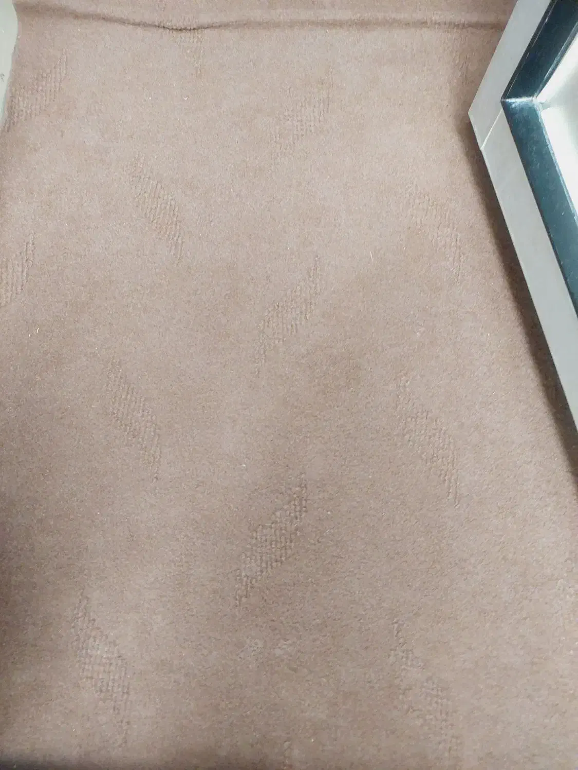 موکت قهو ه ای|موکت|شهرکرد, |دیوار