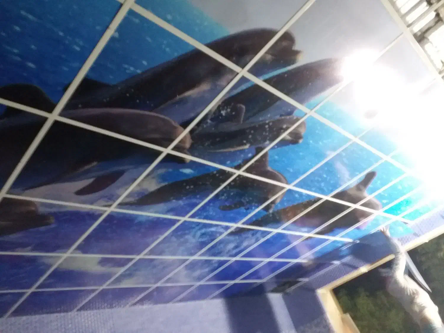 خرپا شیروانی آلاچیق جوشکاری رابیتس سقف کاذب|خدمات پیشه و مهارت|دماوند, گیلاوند|دیوار