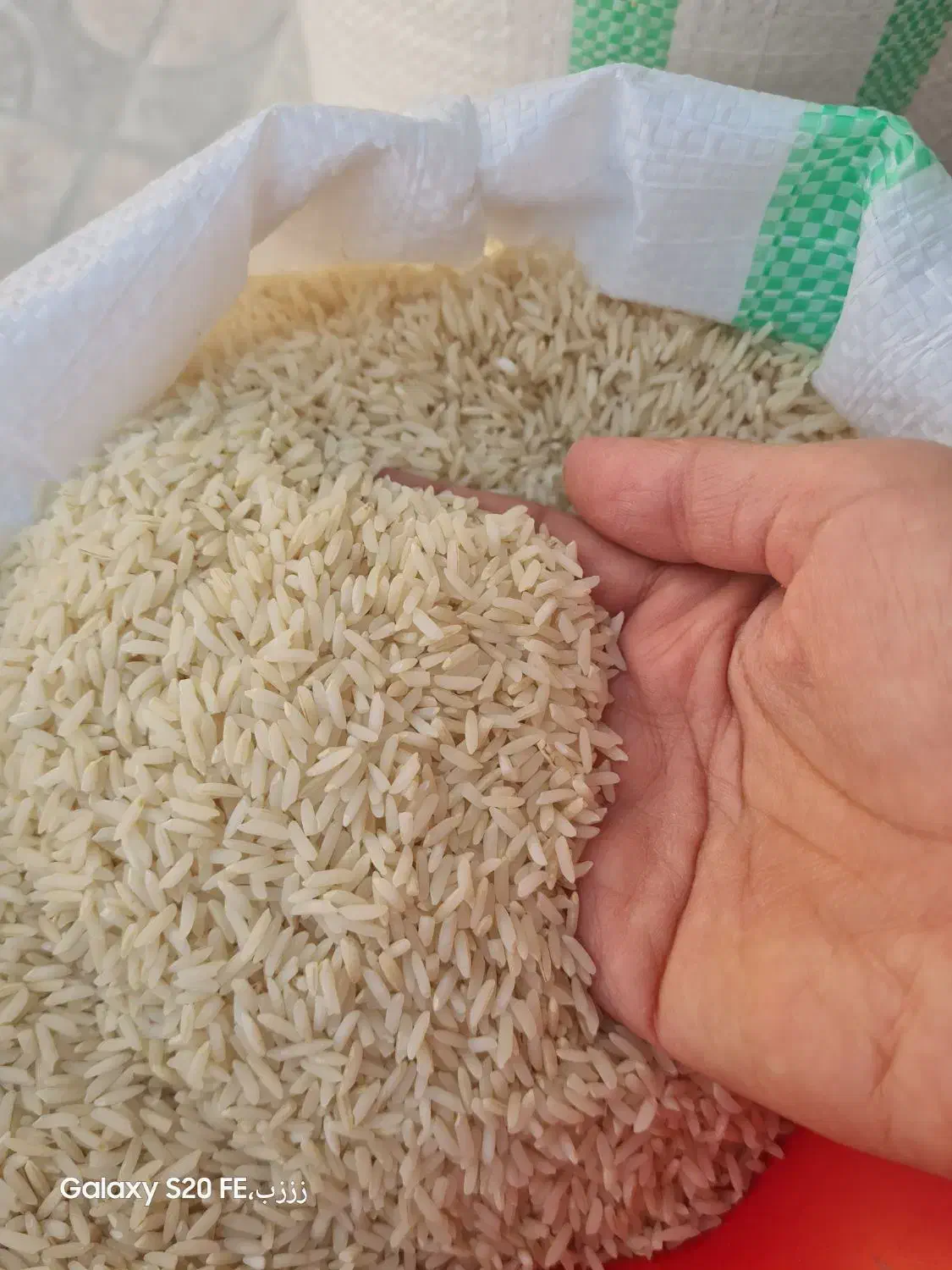 فروش عمده برنج ایرانی خالص تضمینی|خوردنی و آشامیدنی|اسلام‌شهر, شهرک قائمیه|دیوار