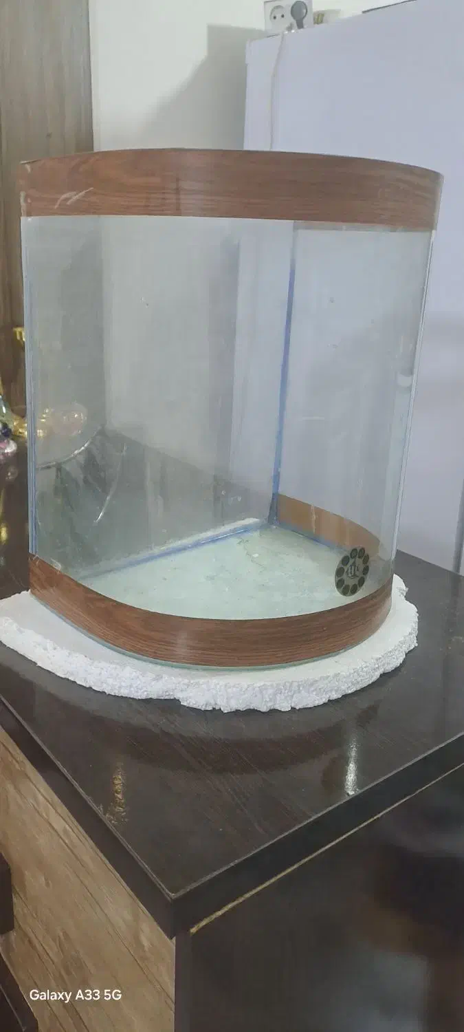 اکواریوم شیشه خم|ماهی|مشهد, شهرک لشکر (شهرک غرب)|دیوار