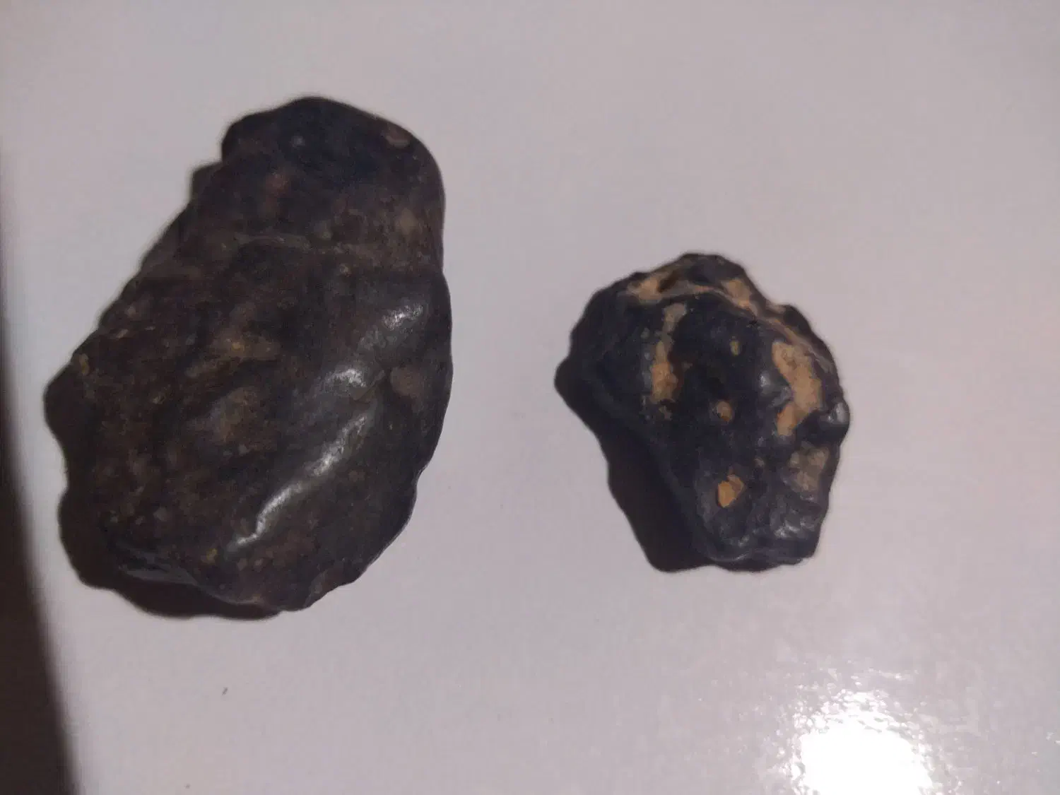 مشکوک به شهاب|جواهرات|تربتحیدریه, باغ سلطانی|دیوار