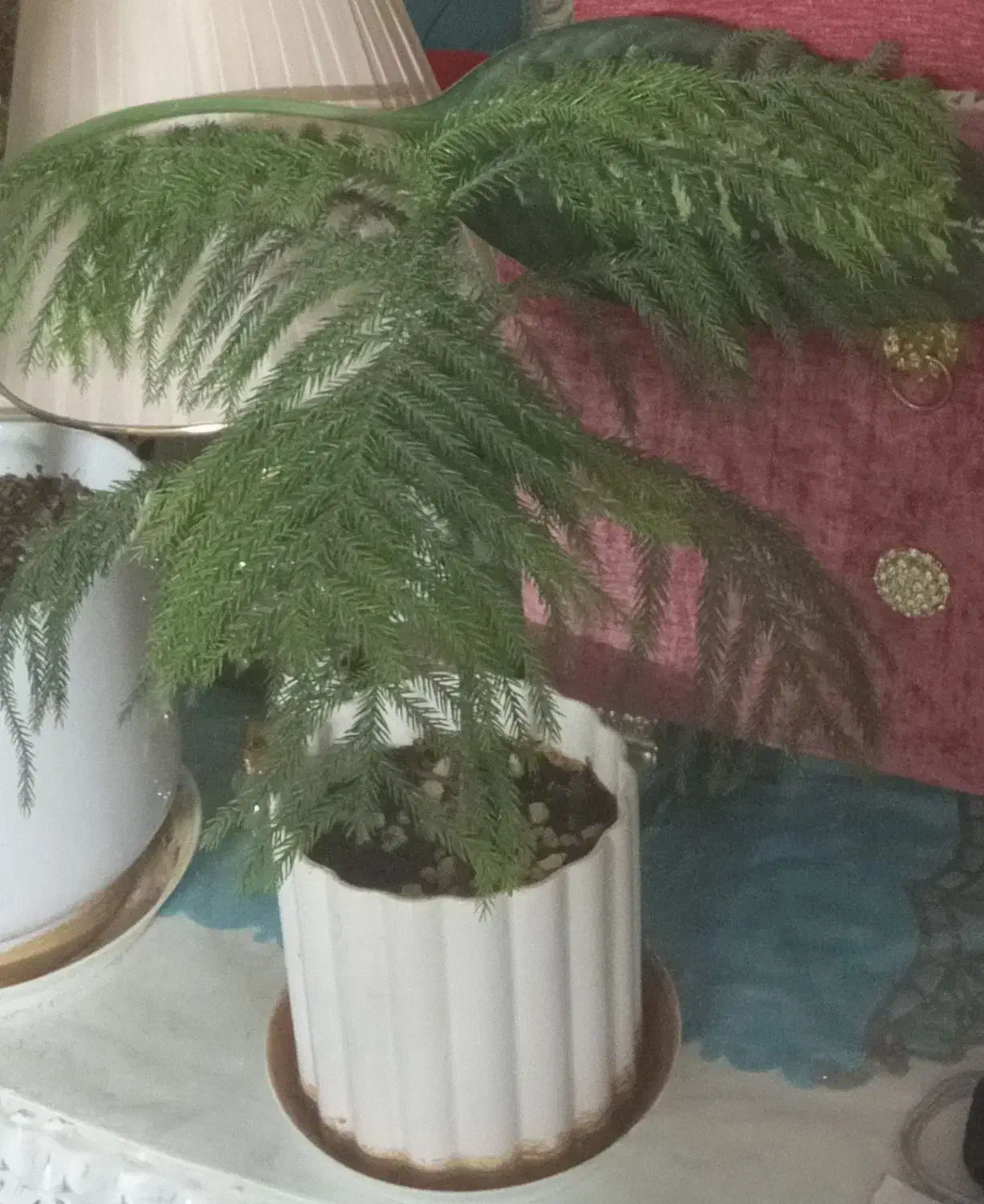 صندلی راک۳۵۰۰|صندلی و نیمکت|مشهد, جاهد شهر|دیوار