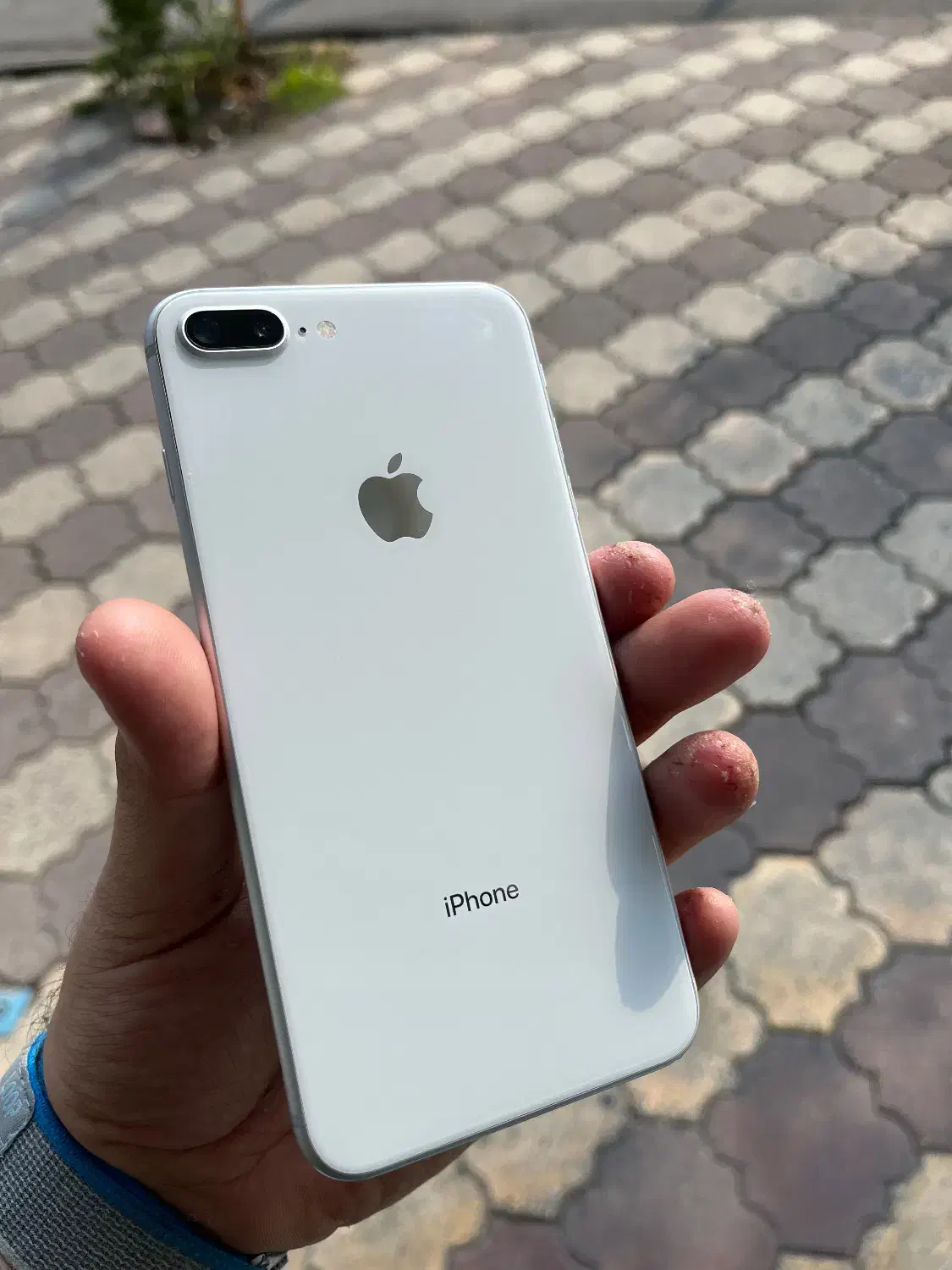 ایفون ۸پلاس درحد ۶۴گیگ lla|موبایل|رشت, کاکتوس|دیوار