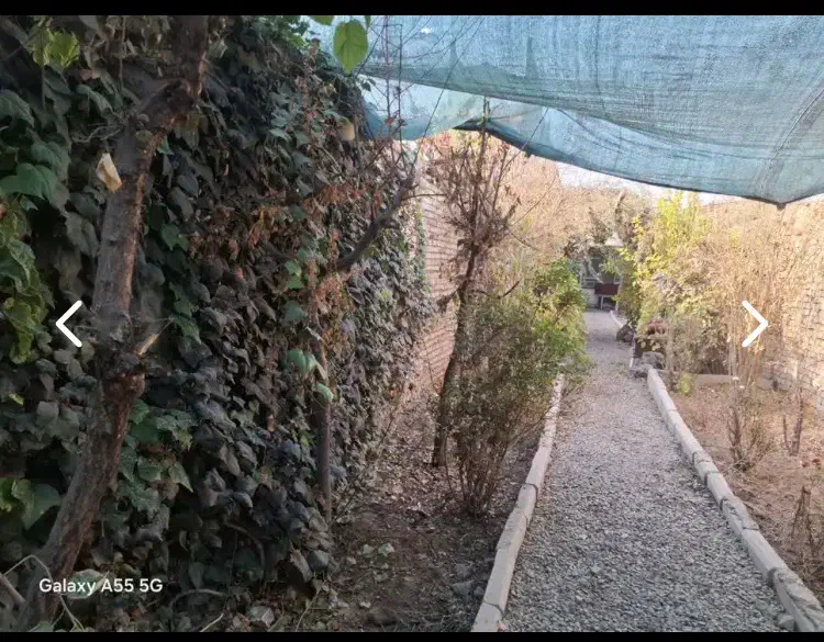 باغ اجاره ایی|اجارهٔ کوتاه‌مدت آپارتمان و سوئیت|ورامین, جعفر آباد اخوان|دیوار