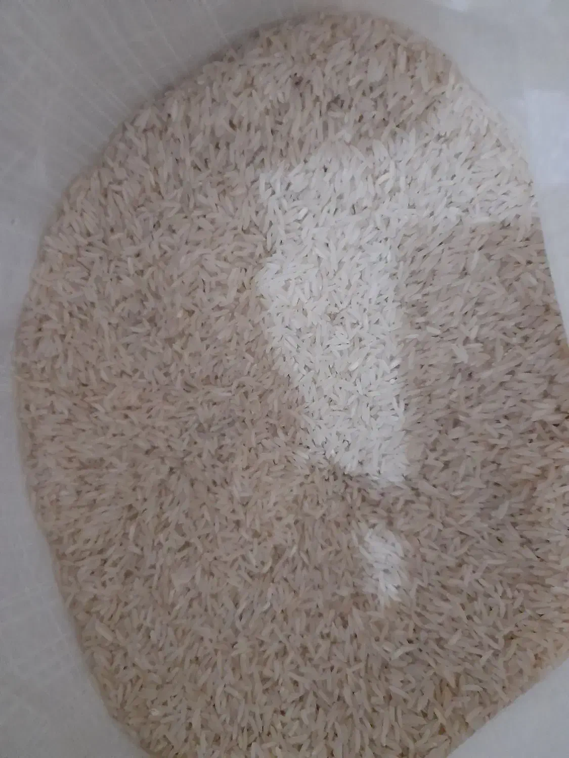 برنج هاشمی کشت دوم|عمدهفروشی|مشگین شهر, |دیوار