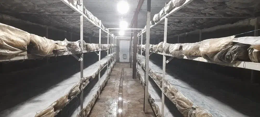 شراکت در تولیدی ،پرورش و غیره|مشارکت در ساخت املاک|سوسنگرد, |دیوار