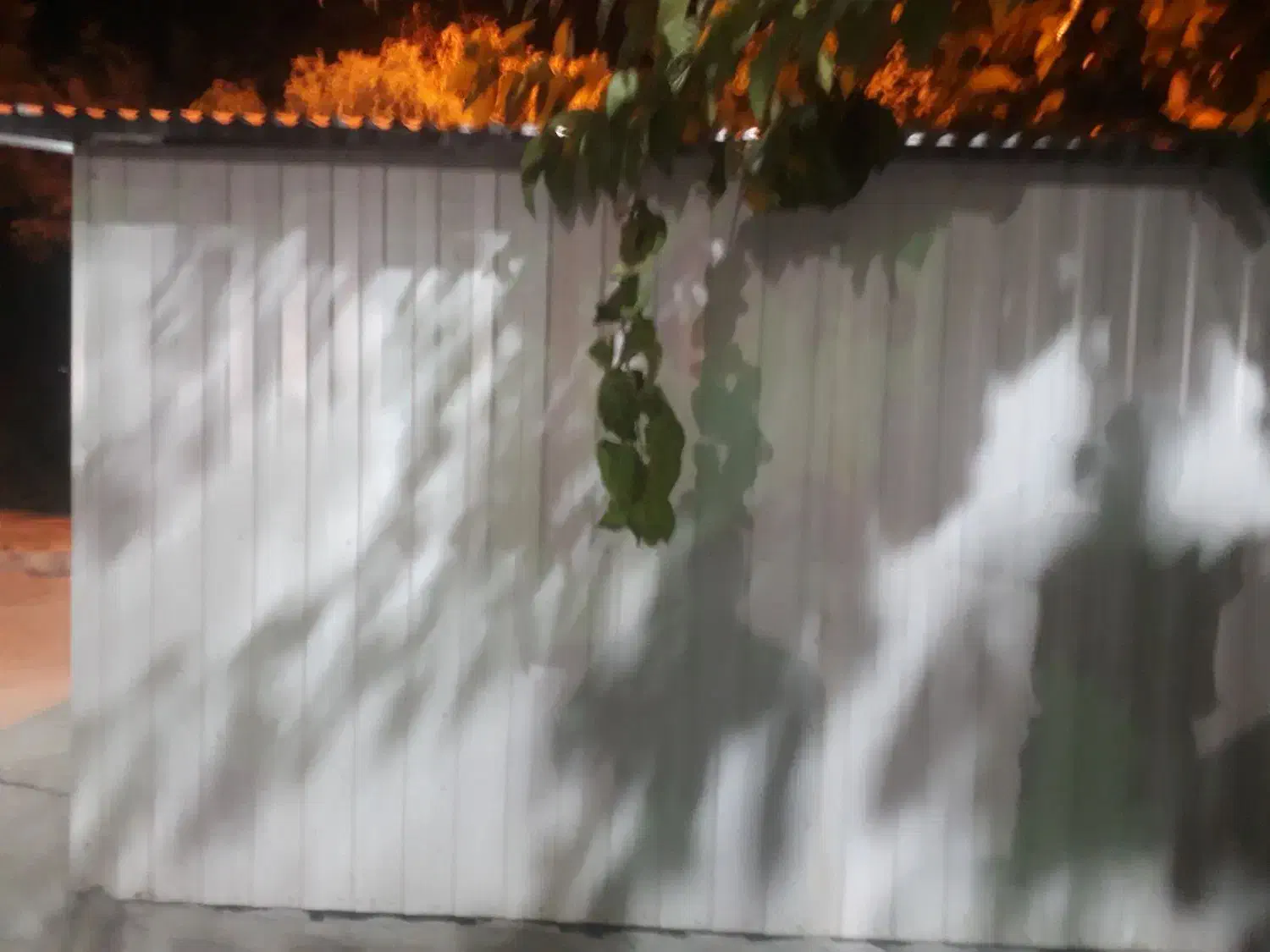 کانکس فروشی گلفروشی یا دیگرمشاغل|فروشگاه و مغازه|ری, شهید غیوری (ابن باویه)|دیوار