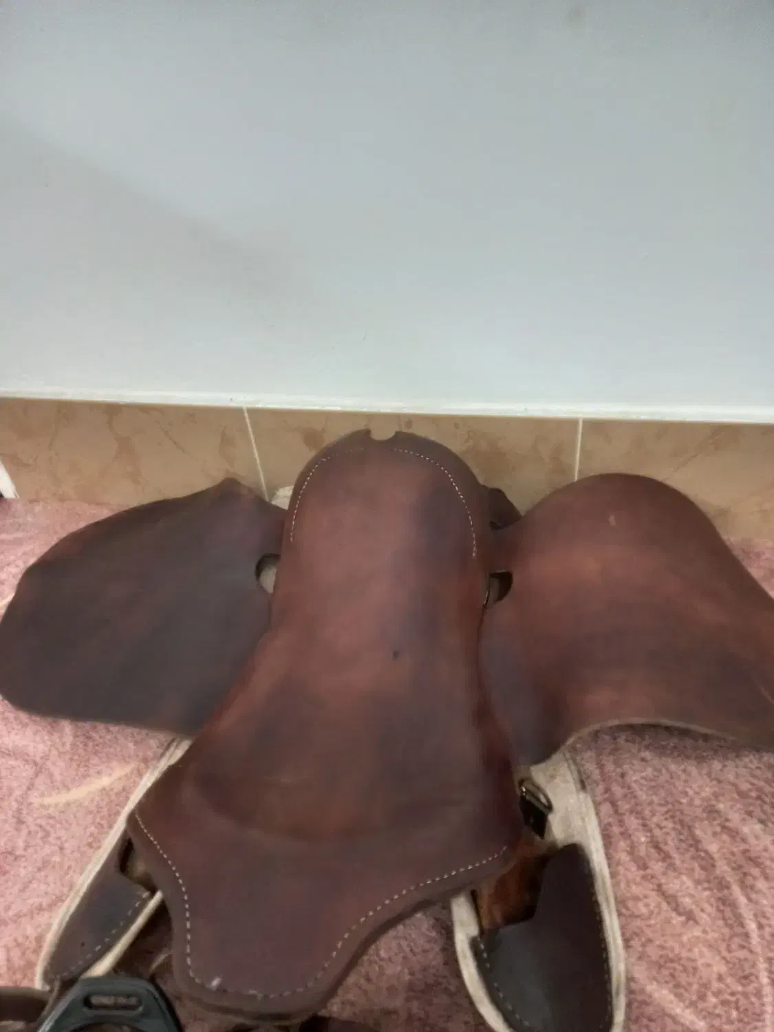 زین و دهنه چرم اصل درحد نو|اسب و تجهیزات اسبسواری|قم, دروازه ری|دیوار