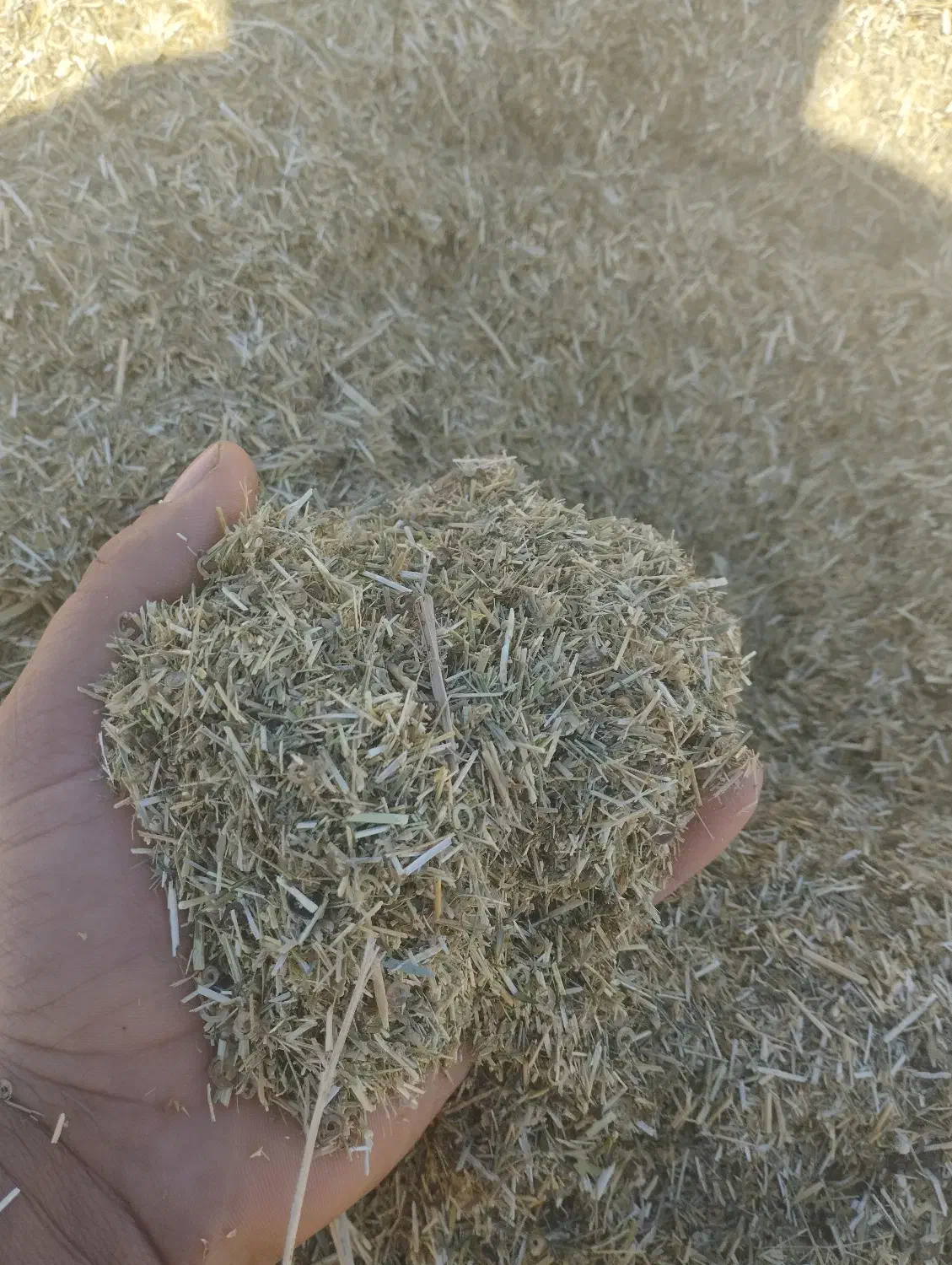 کاه یونجه|حیوانات مزرعه|هریس, |دیوار