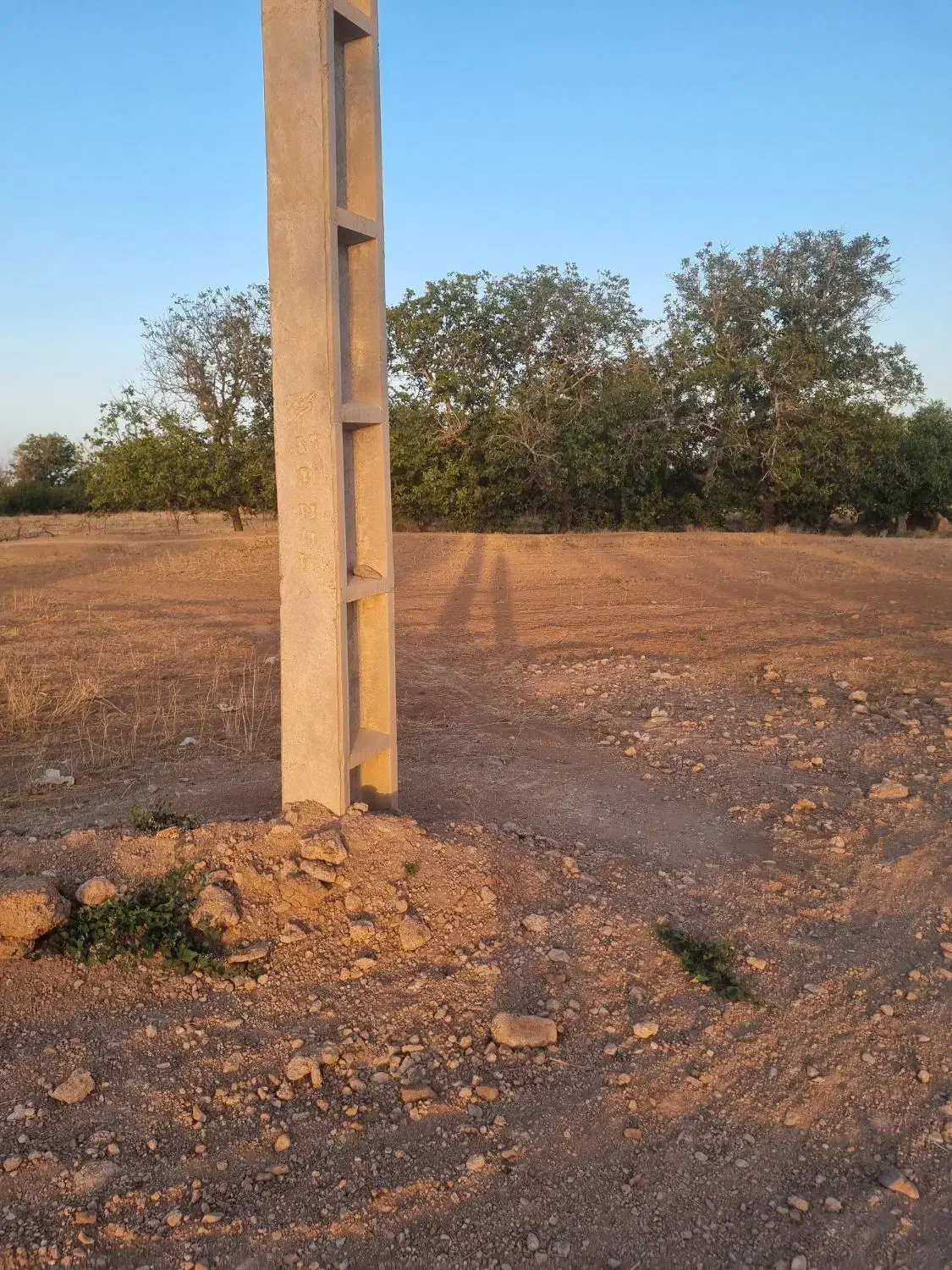 باغ گردو استان قزوین شهرک ضیاباد ۱۱۰۰ متر|فروش دفتر صنعتی، کشاورزی، تجاری|ضیاء آباد, |دیوار