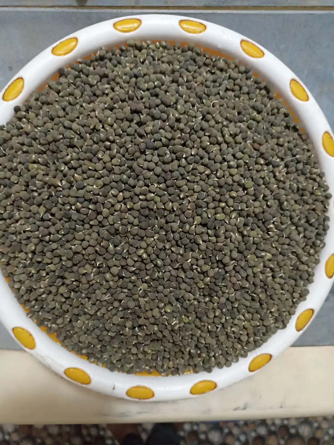 تخم بامیه درجه یک|خدمات باغبانی و درختکاری|زابل, |دیوار