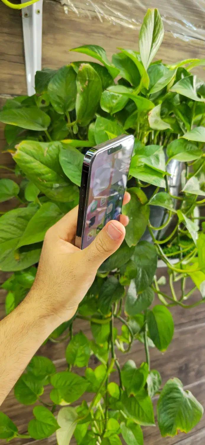 iphone 13 promax|موبایل|اهواز, کمپلو جنوبی|دیوار