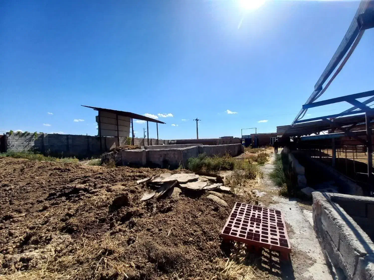 پرورش اسب و گوسفند و گاوداری|اجارهٔ دفتر صنعتی، کشاورزی، تجاری|مراغه, |دیوار