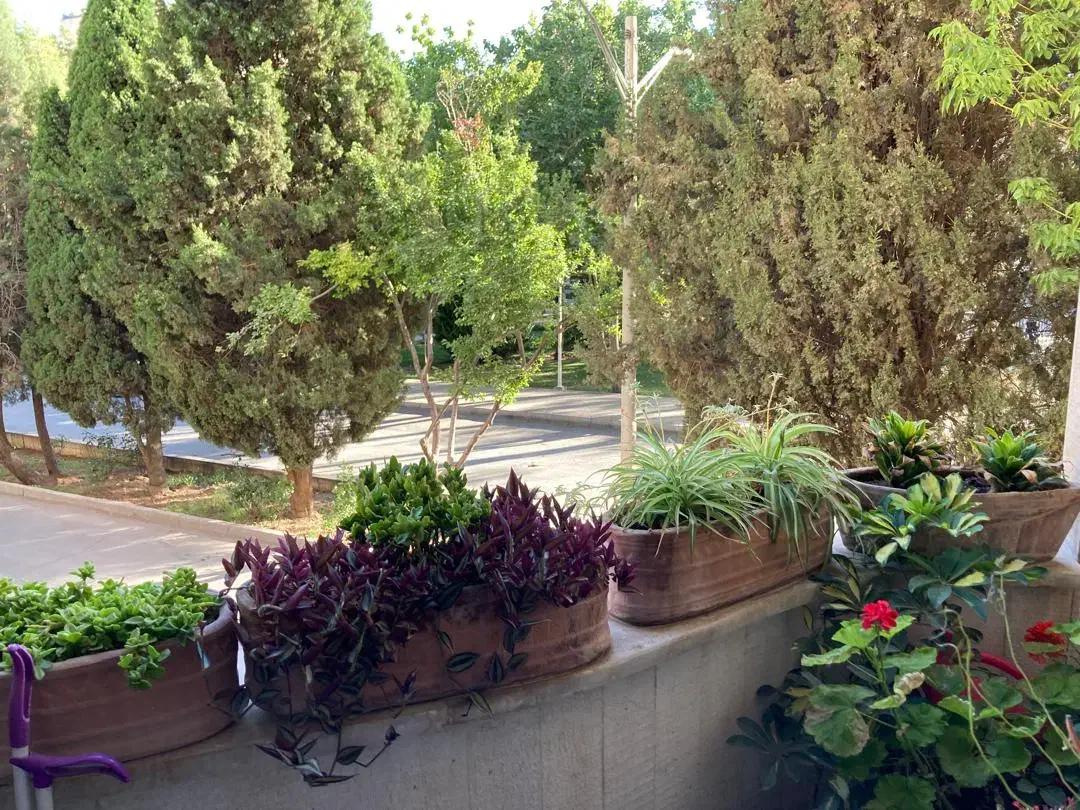 خونه ای روشن و دلباز با ویو پارک دشتستان|فروش آپارتمان|اصفهان, عسگریه|دیوار