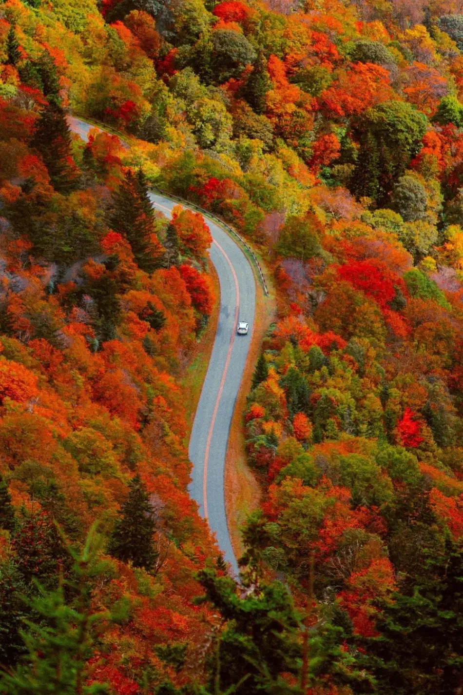 گیلانگردی جمعه ۱۶ ام|تور و چارتر|رشت, نامجو|دیوار