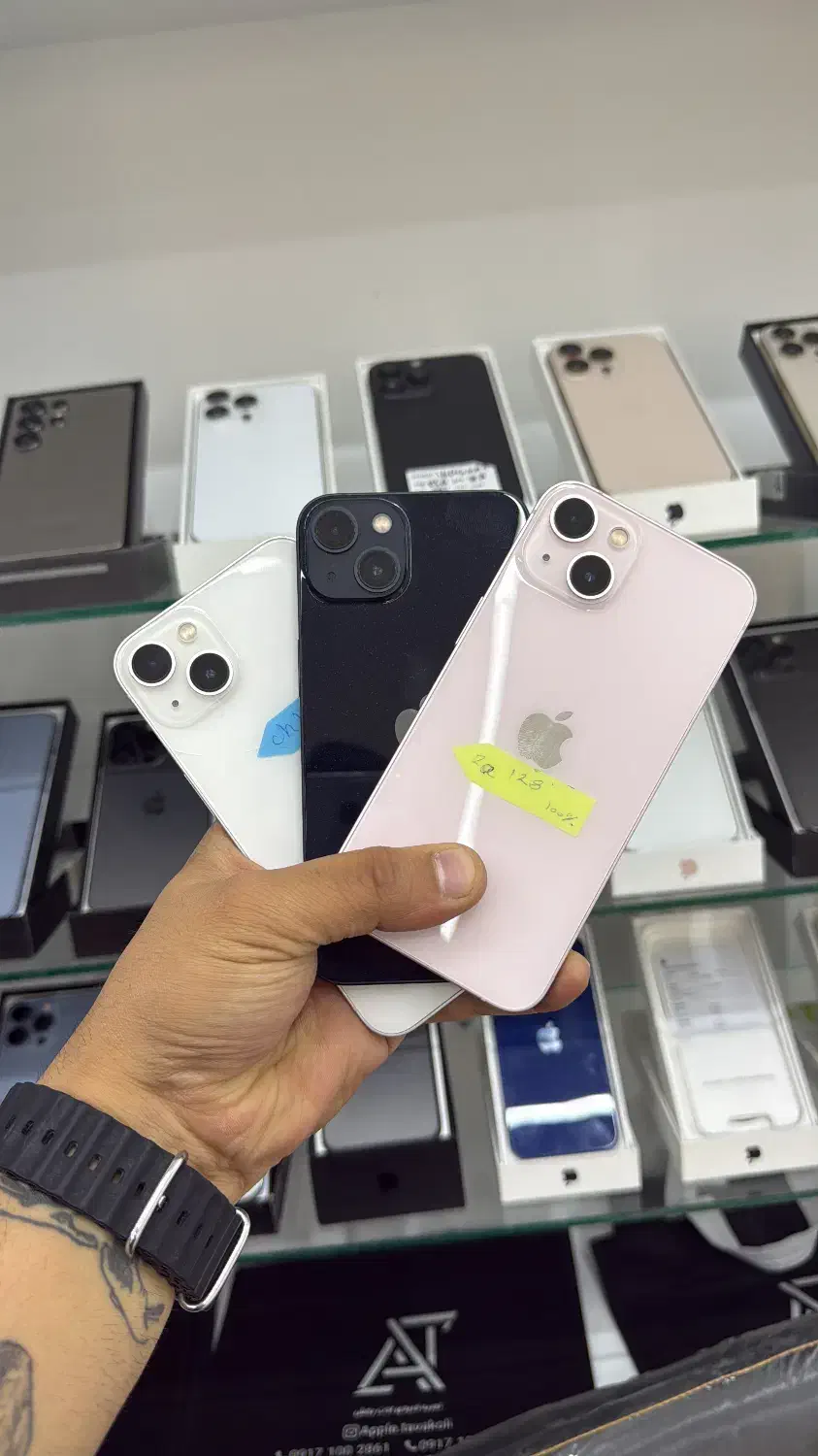 iPhone 13 نرمال|موبایل|شیراز, گلدشت معالیآباد|دیوار