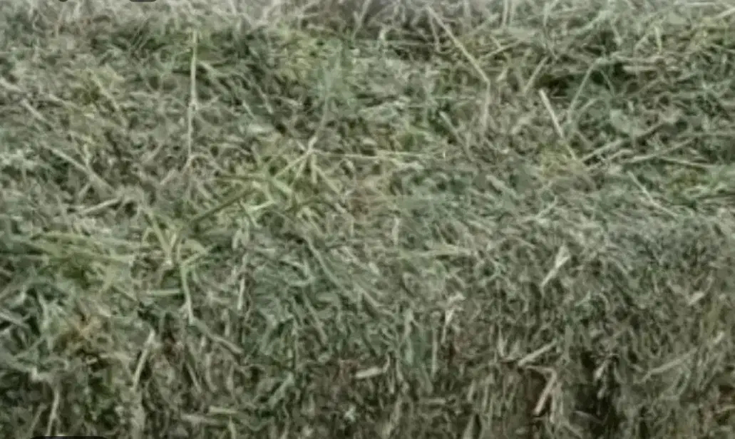 پرس یونجه|لوازم جانبی حیوانات|گلپایگان, |دیوار