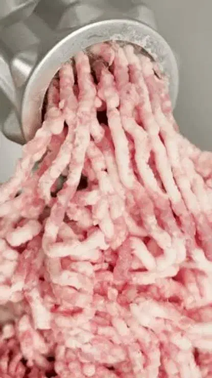 چربی تازه گاوی،بسیار مناسب برای کوبیده و برگر و..|کافی‌شاپ و رستوران|رشت, دیلمان|دیوار