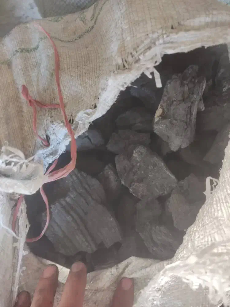 زغال فروشی|کوهنوردی و کمپینگ|رامشیر, |دیوار