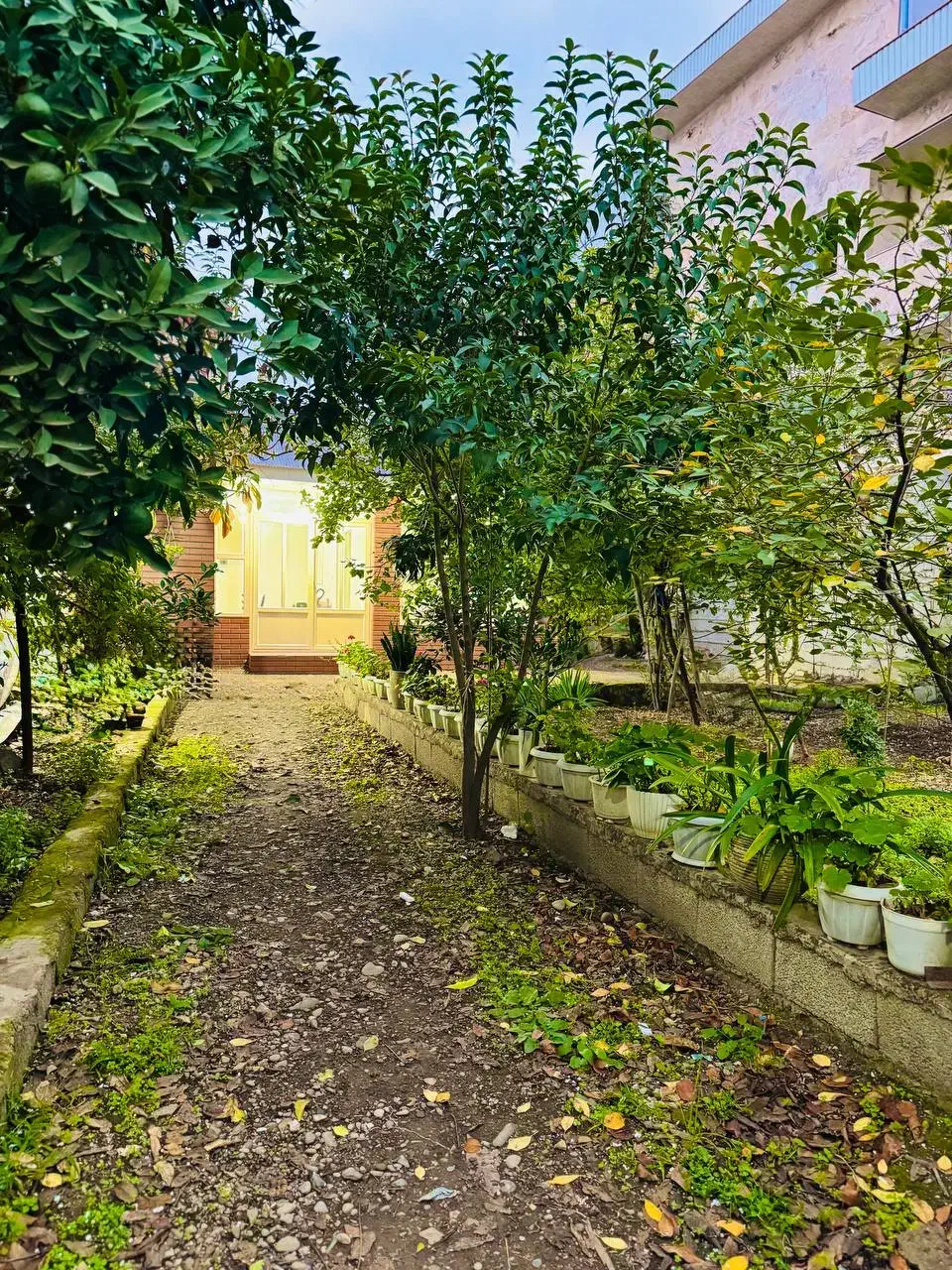 اجاره روزانه ویلا باغ رشت|اجارهٔ کوتاهمدت ویلا و باغ|رشت, شهرک صبا|دیوار