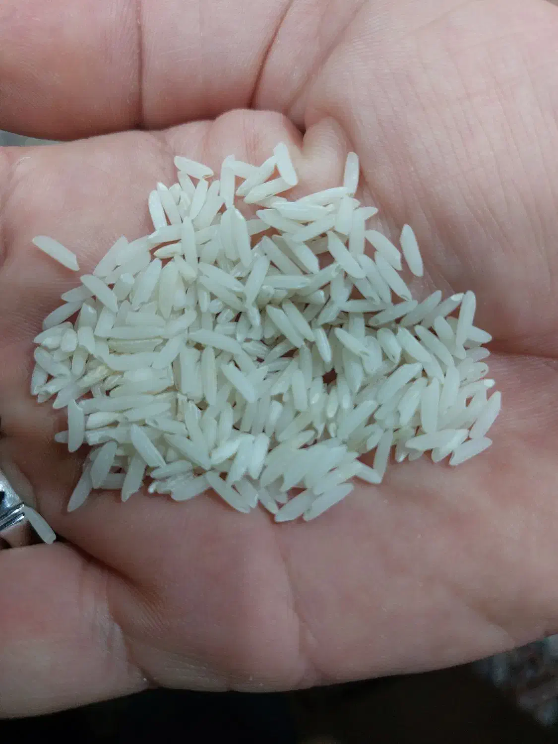 برنج هاشمی اصل 4۰۰کیلومبلغ290هزارتومان|خوردنی و آشامیدنی|رشت, پسیخان|دیوار