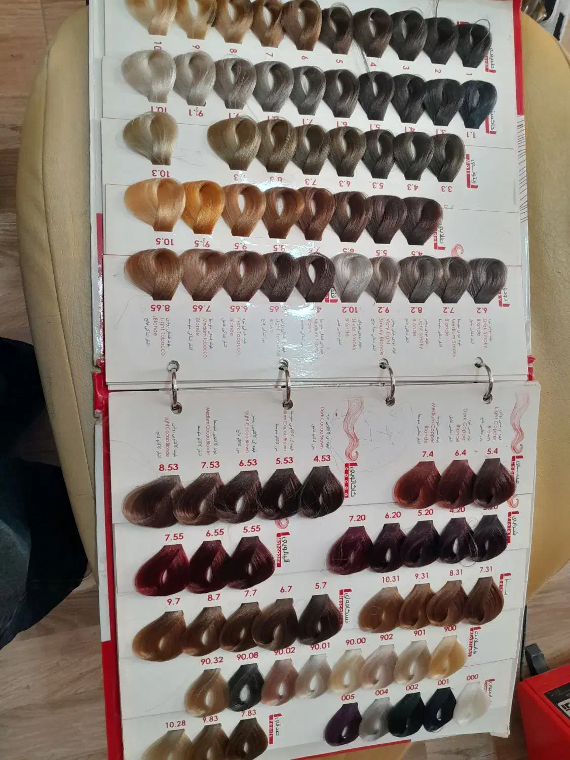 آلبوم رنگ|آرایشی، بهداشتی، درمانی|رشت, انصاری|دیوار