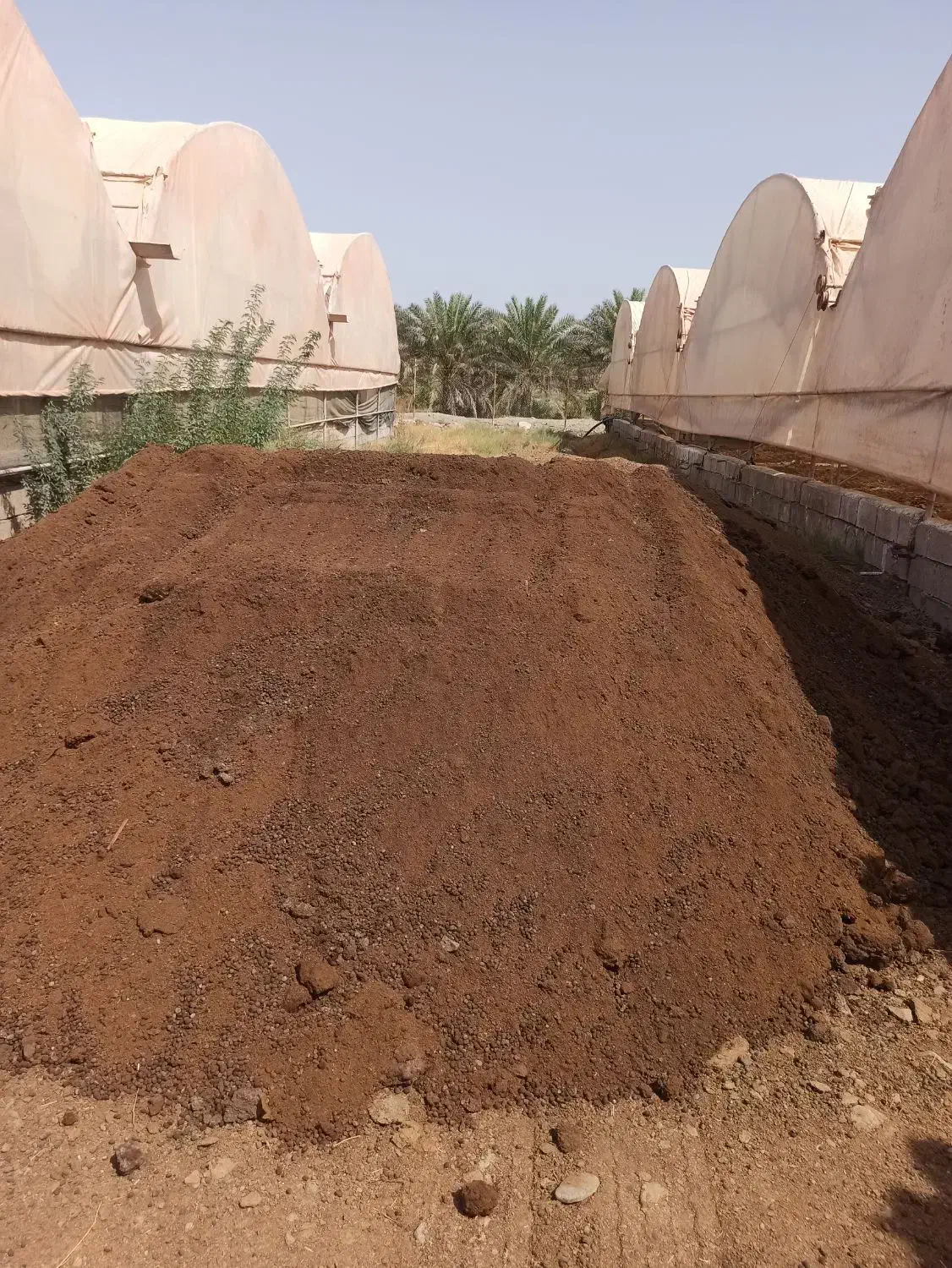 سلام|خدمات باغبانی و درختکاری|رودان, |دیوار