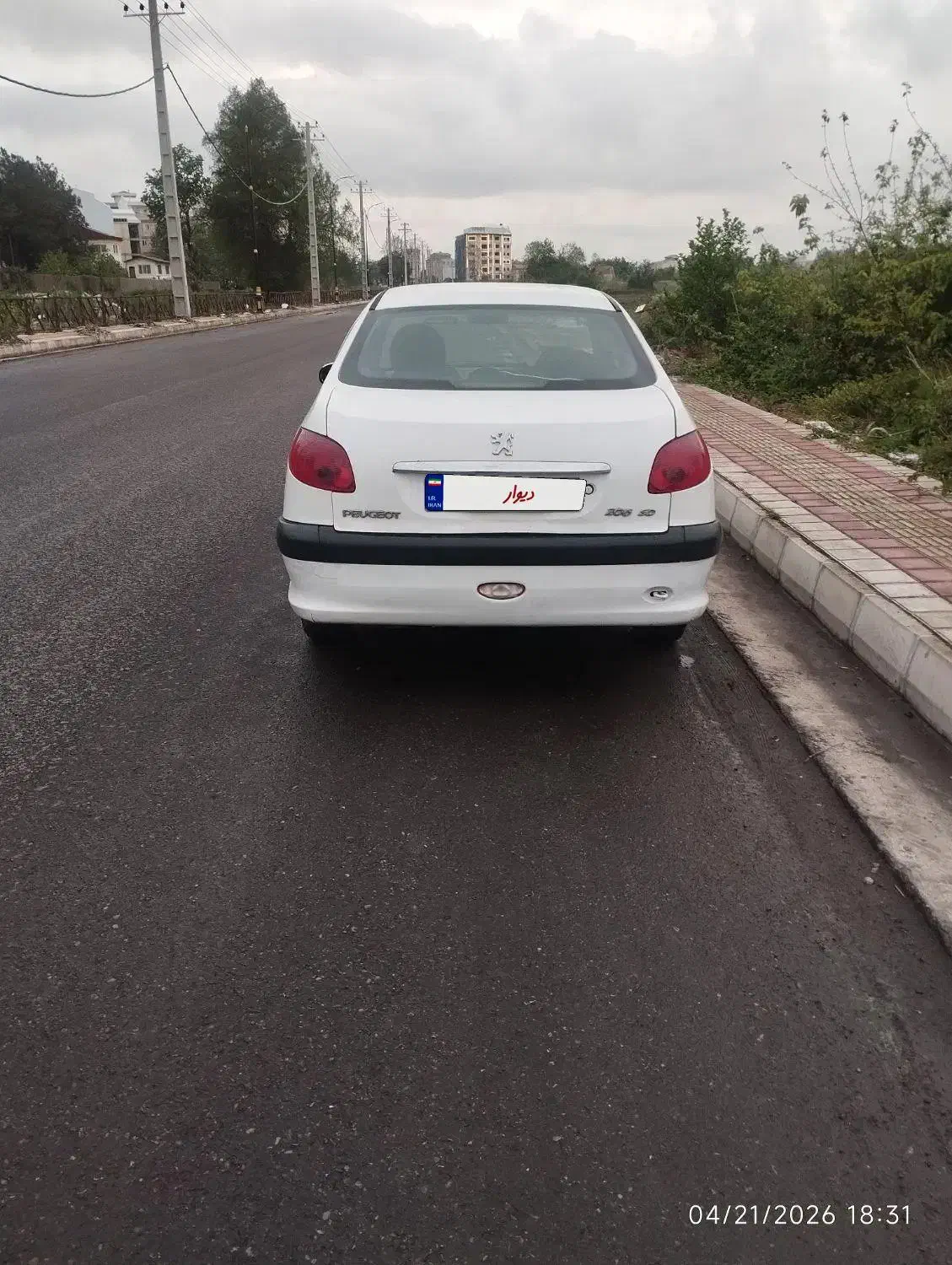 206 sd سفید|خودرو سواری و وانت|رشت, کاکتوس|دیوار