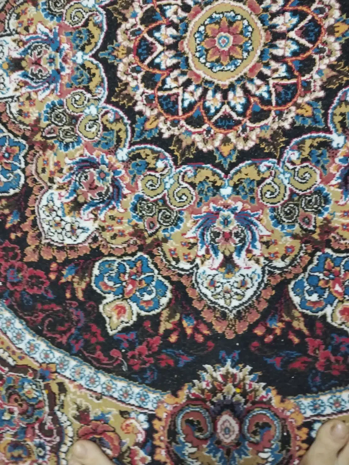 یک جفت فرش صورمعی 9متری|فرش|مشهد, رده|دیوار