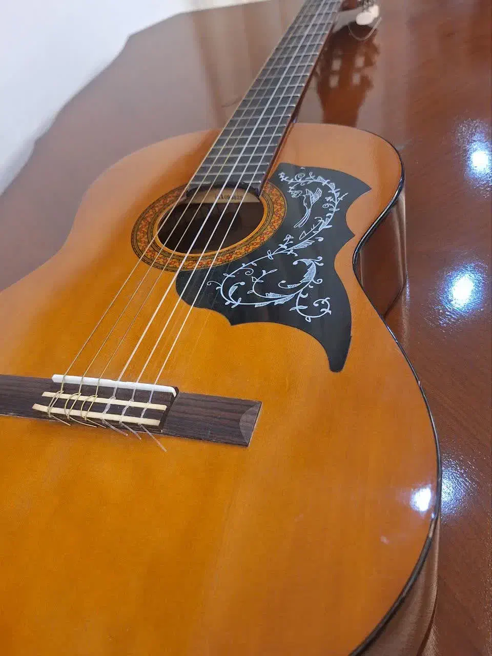 گیتار C40|گیتار، بیس، امپلیفایر|قم, باجک دو|دیوار