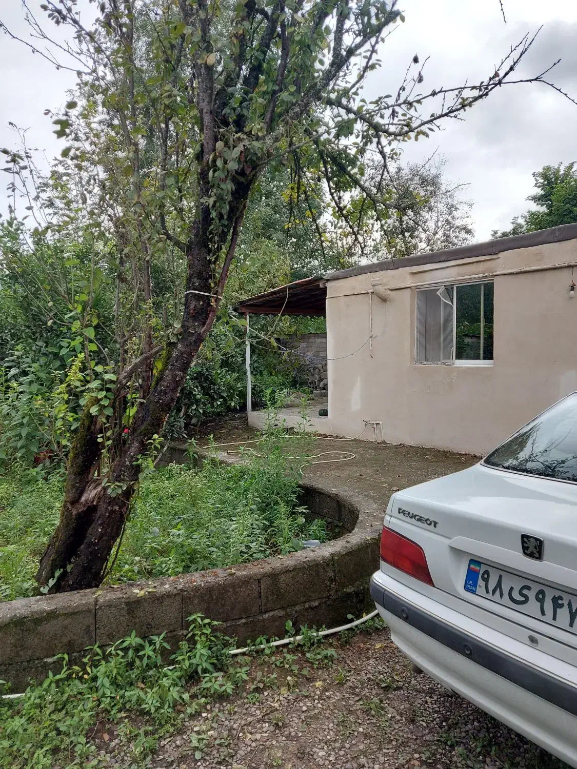 اجاره ویلا در روستای خرارود سیاهکل|اجارهٔ خانه و ویلا|سیاهکل, |دیوار