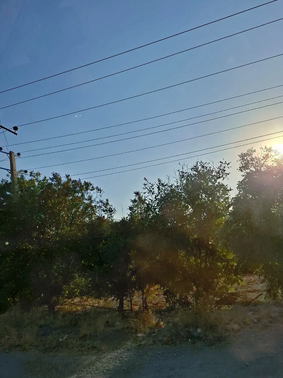 مرغداری با دوسالن هم اجاره هم فروش|اجارهٔ دفتر صنعتی، کشاورزی، تجاری|نهاوند, |دیوار