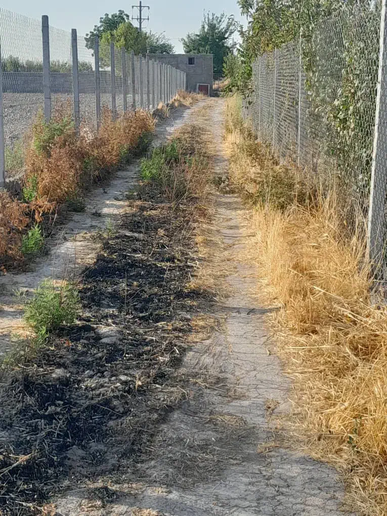 باغ|فروش خانه و ویلا|مرودشت, رودبال|دیوار