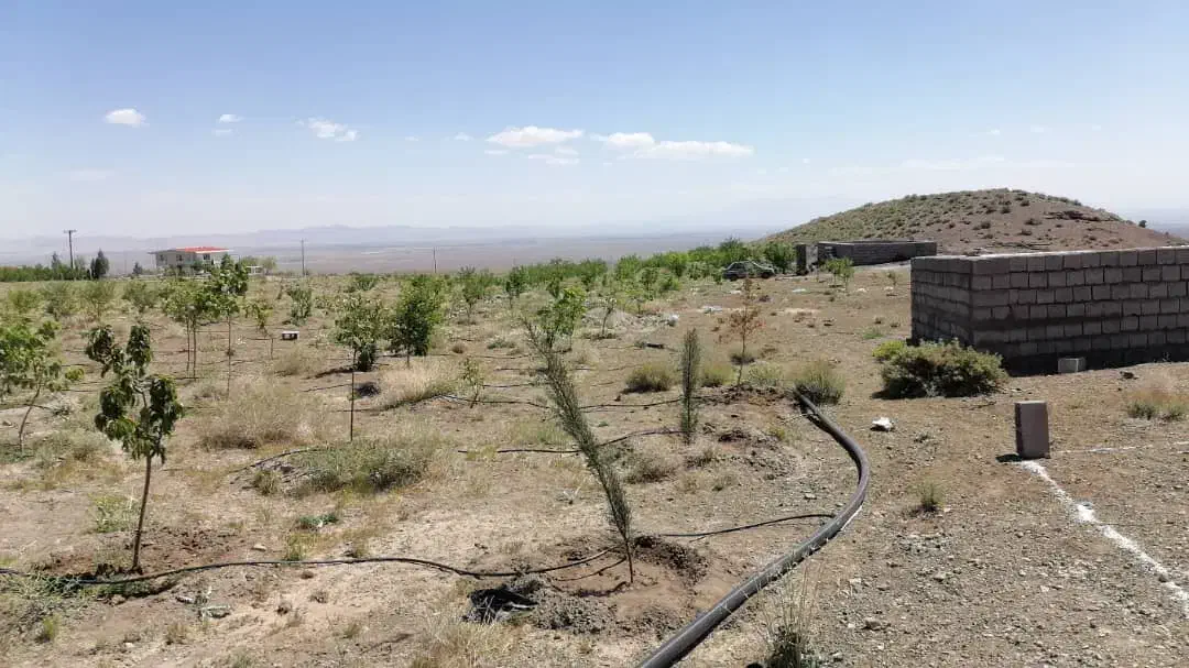 باغ بردسیر|فروش زمین و ملک کلنگی|بردسیر, |دیوار