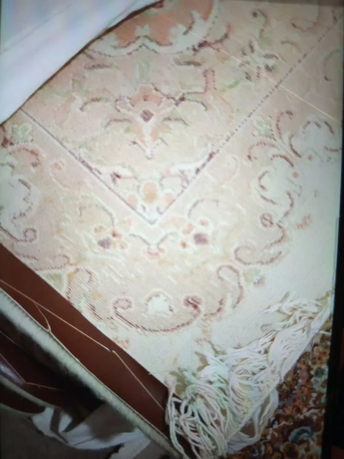 فرش سالم و یک تخته|فرش|مشهد, موسوی قوچانی|دیوار