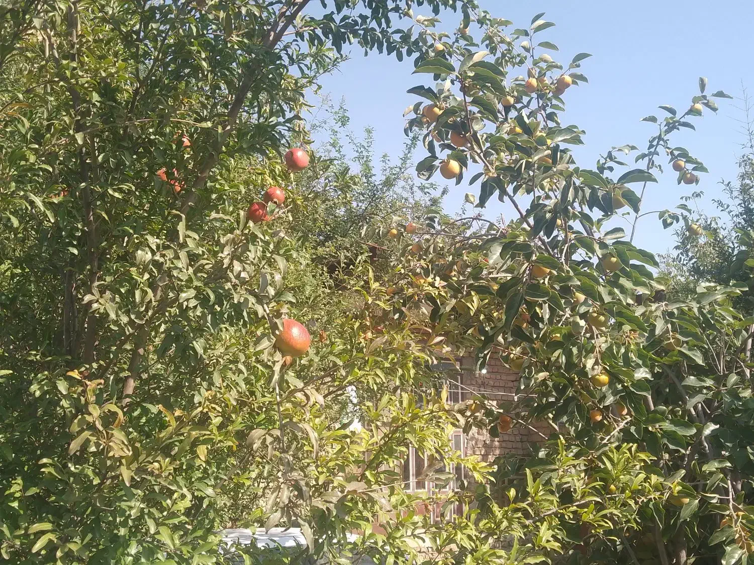 کشنده البرزفرازمعاوزه با550مترخانه گرگان کلاسنگیان|خودرو سنگین|تهران, گرگان|دیوار