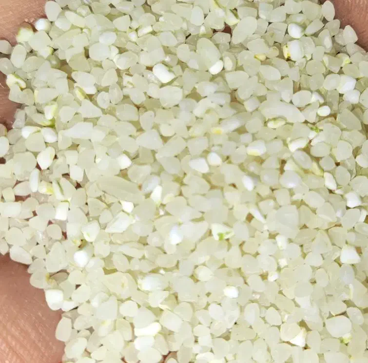 برنج خورده برنج و خورده اشی کامفیروز|عمدهفروشی|کامفیروز, |دیوار