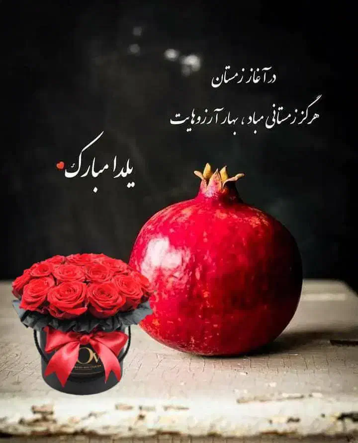 کنسانتره یک تن ونیم‌|لوازم جانبی حیوانات|الیگودرز, |دیوار