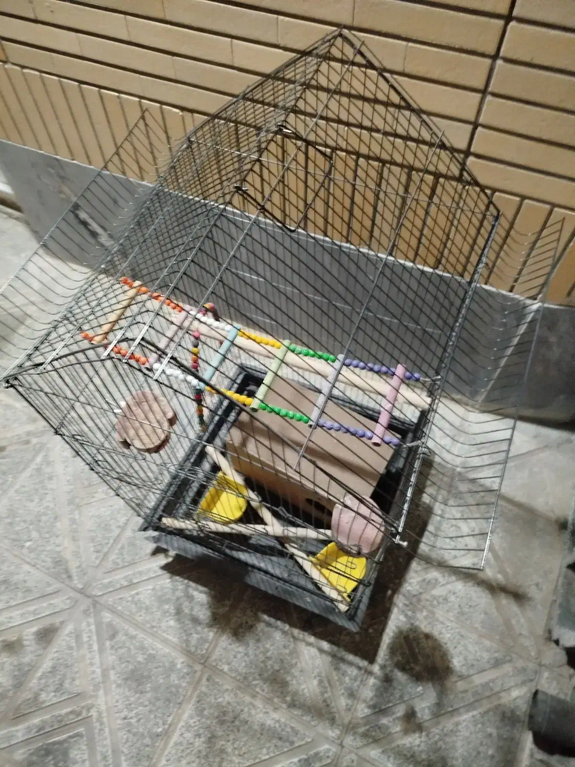 قفس عروس هلندی|لوازم جانبی حیوانات|شاهینشهر, شهرک ردانی پور|دیوار