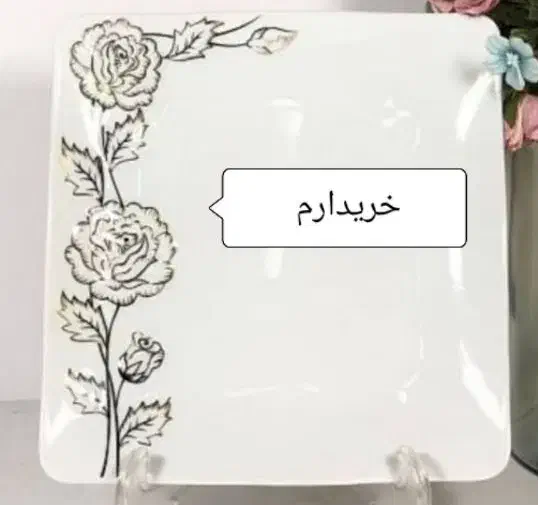 بشقاب پلویی|ظروف سرو و پذیرایی|رباطکریم, رباطکریم|دیوار