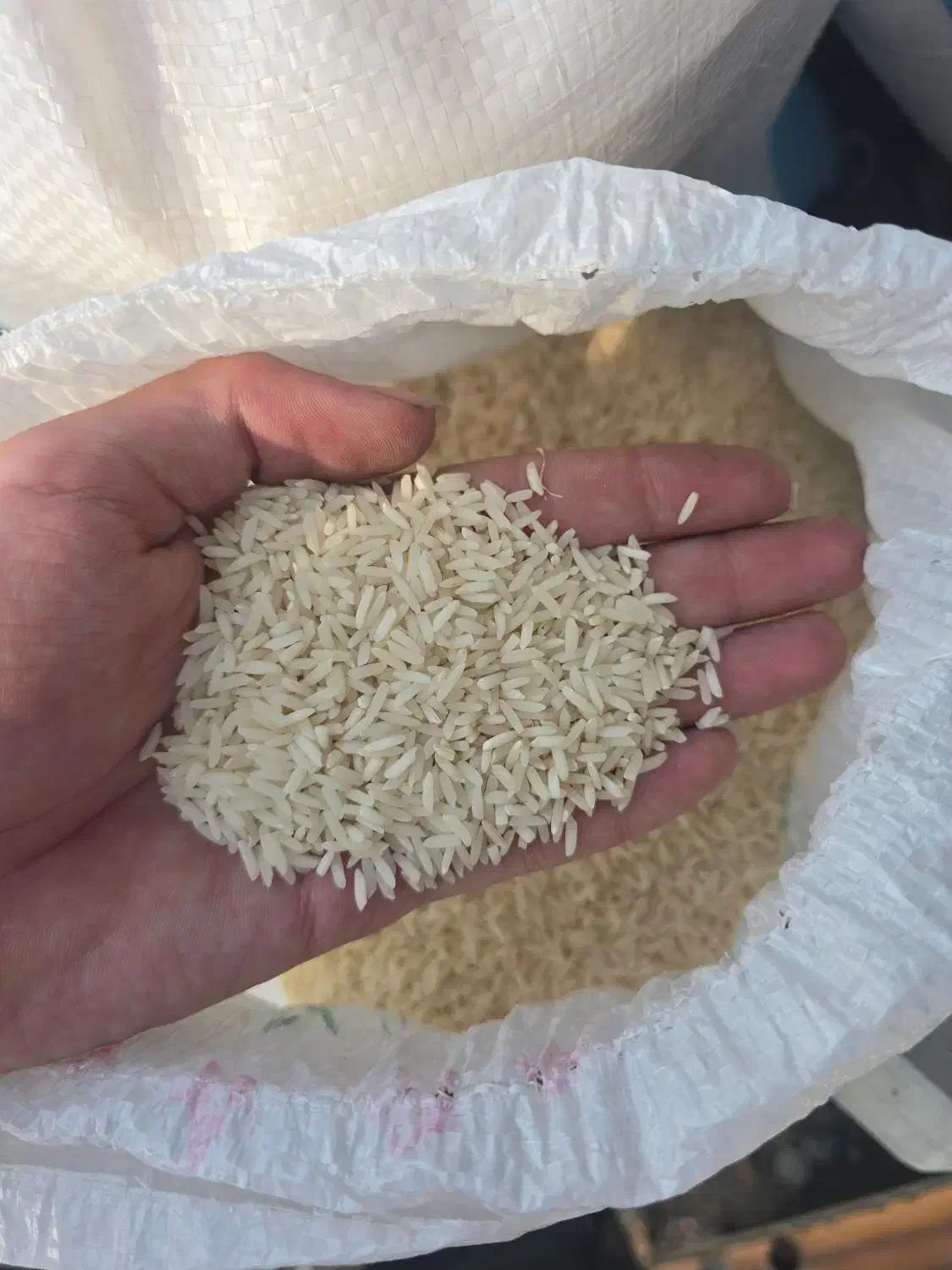 فروش انواع برنج محلی به شرط پخت|خوردنی و آشامیدنی|تهران, استاد معین|دیوار