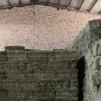 پرس یونجه چن چهارم خشک درجه 1|لوازم جانبی حیوانات|بروجرد, |دیوار