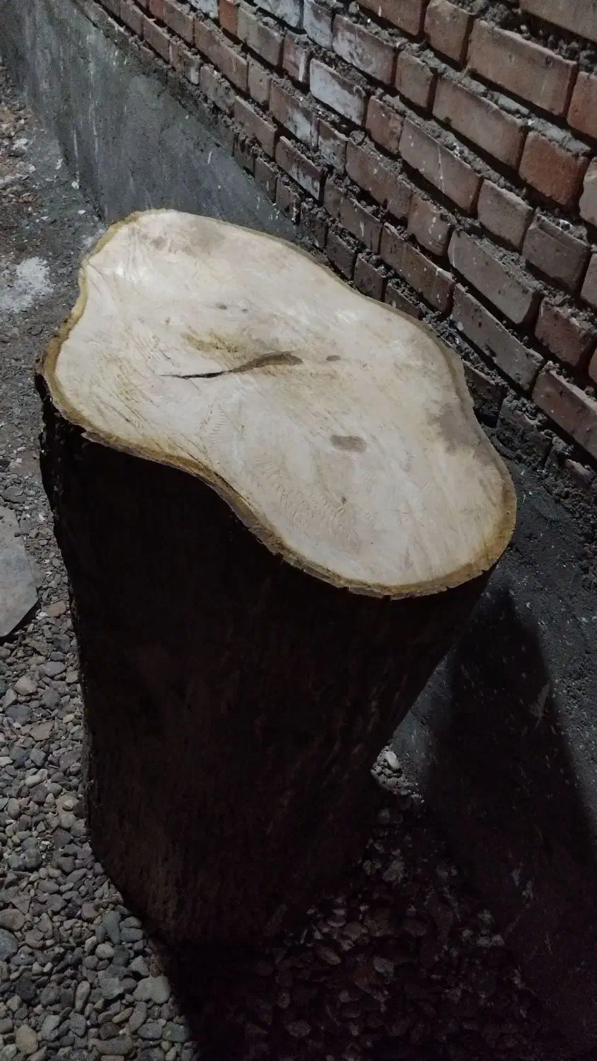 کنده گردو|کافیشاپ و رستوران|میاندوآب, |دیوار