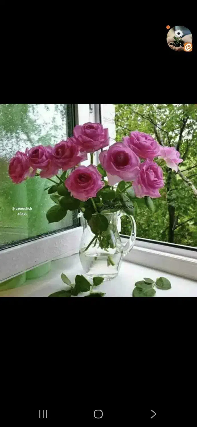 همکار خانم در گل‌فروشی|استخدام هنری و رسانه|ساوه, |دیوار