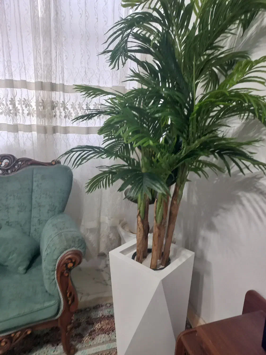 فروش درختچه های مصنوعی|گل مصنوعی|آستارا, |دیوار