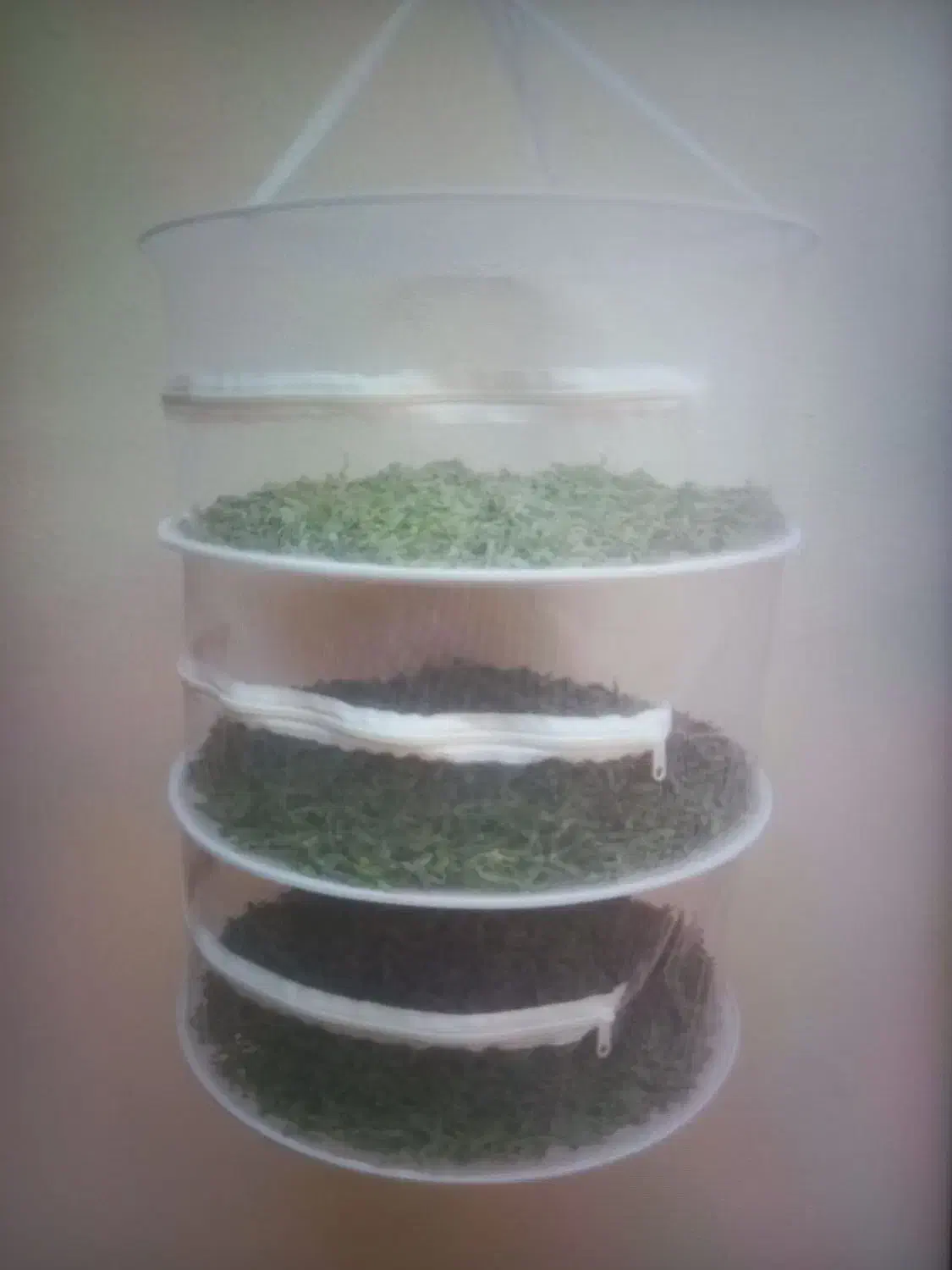 توری میوه خشک کن|ظروف نگهدارنده، پلاستیکی، یکبارمصرف|دیواندره, |دیوار