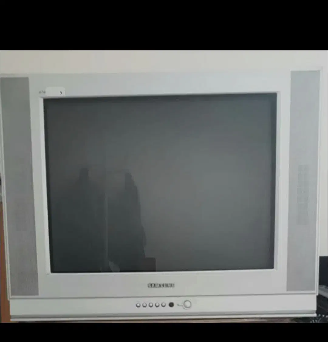 تلویزیون ۲۹ اینچ کاملا سالم با قیمت مناسب|تلویزیون و پروژکتور|مرودشت, تامین اجتماعی‎|دیوار