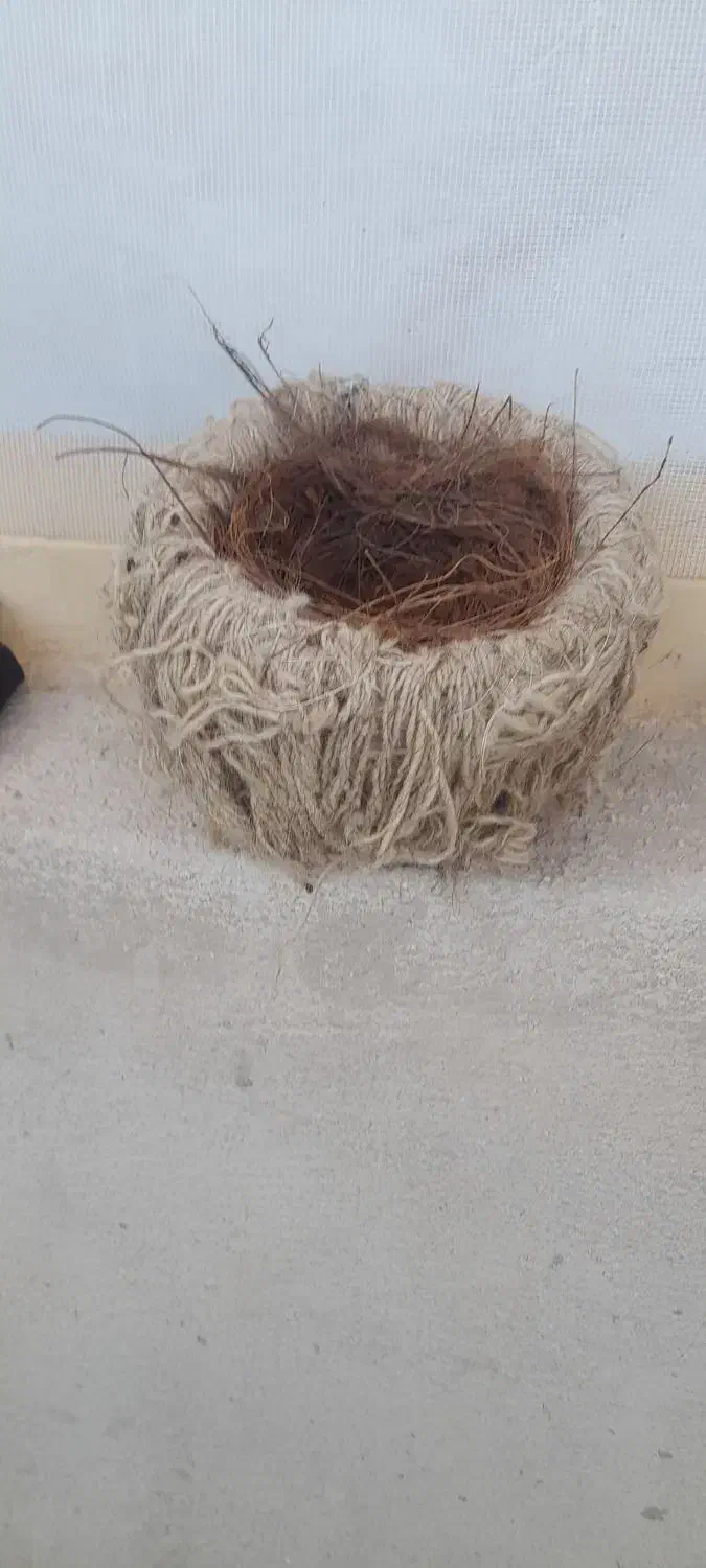 لانه|لوازم جانبی حیوانات|دهلران, |دیوار