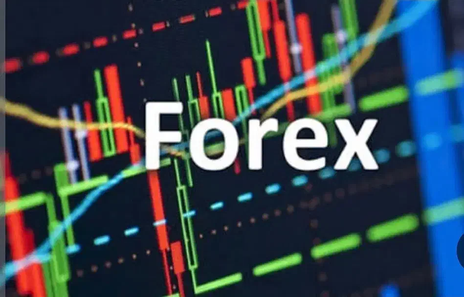 آموزش ترید فارکس بیت کوین کریپتو طلا|خدمات آموزشی|تهران, جمهوری|دیوار