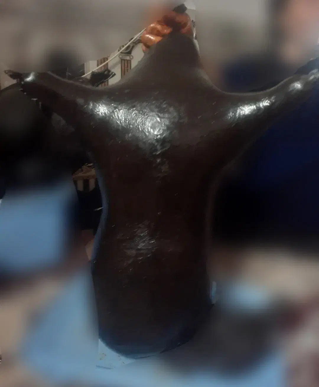 هیزه|ظروف نگهدارنده، پلاستیکی، یک‌بارمصرف|کرمانشاه, |دیوار